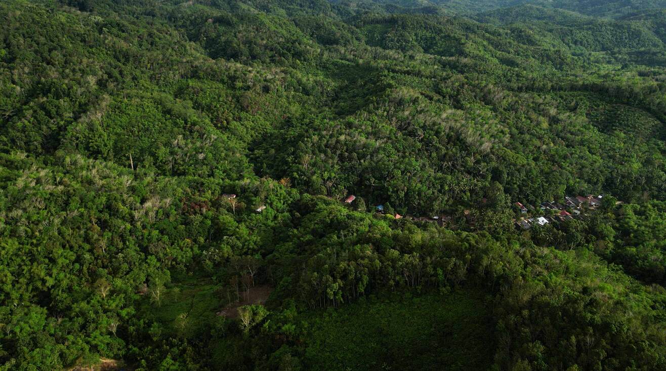 Bentang alam pegunungan dan hutan menyelimuti Kampung Malaris, Desa Lok Lahung, Kecamatan Loksado.jpg
